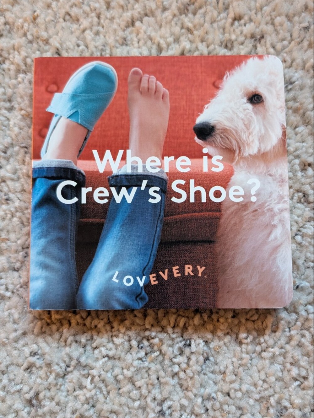 LOVEVERY Board Book: Where is Crew's Shoe?